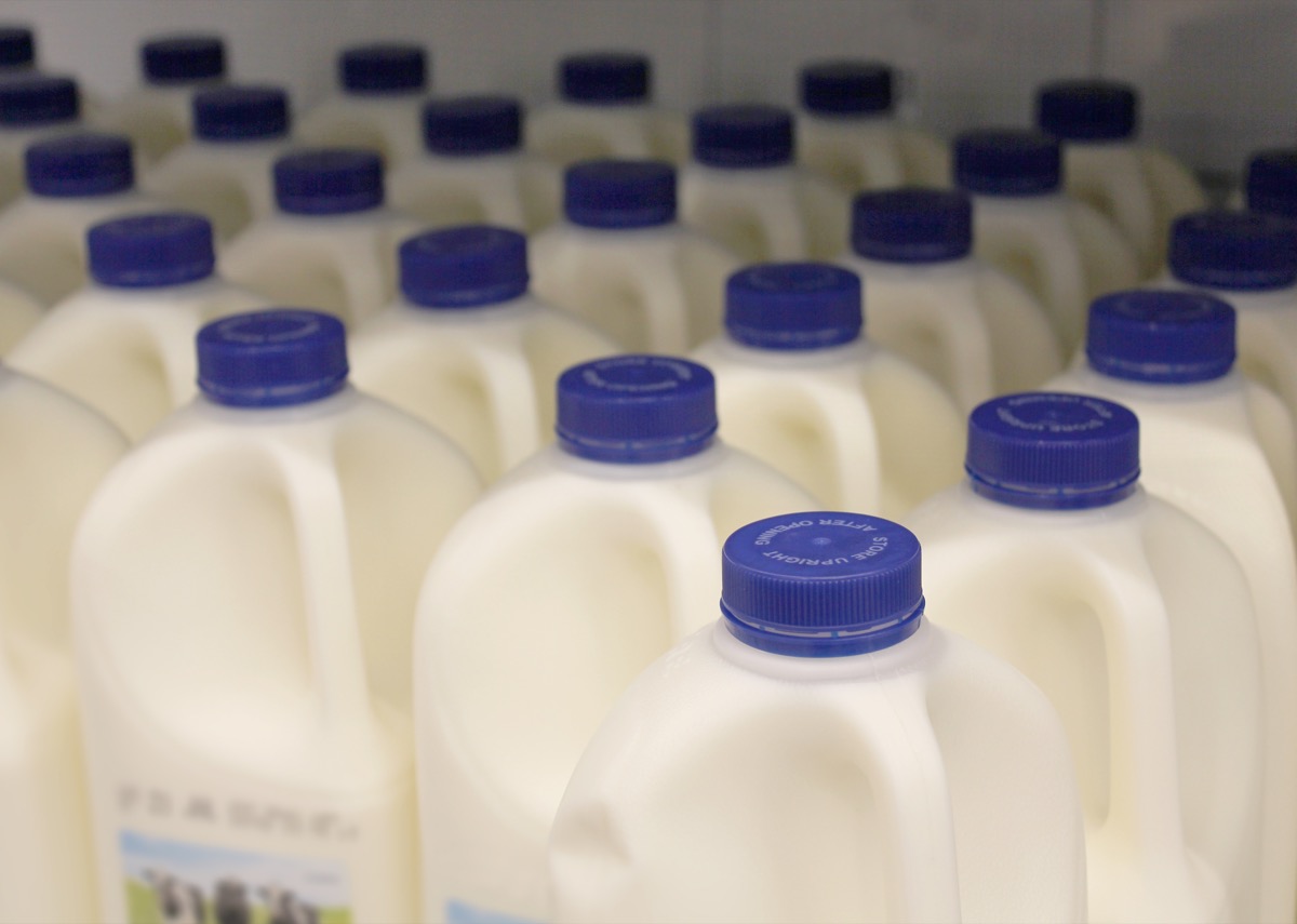 Grocery chain inventory optimization